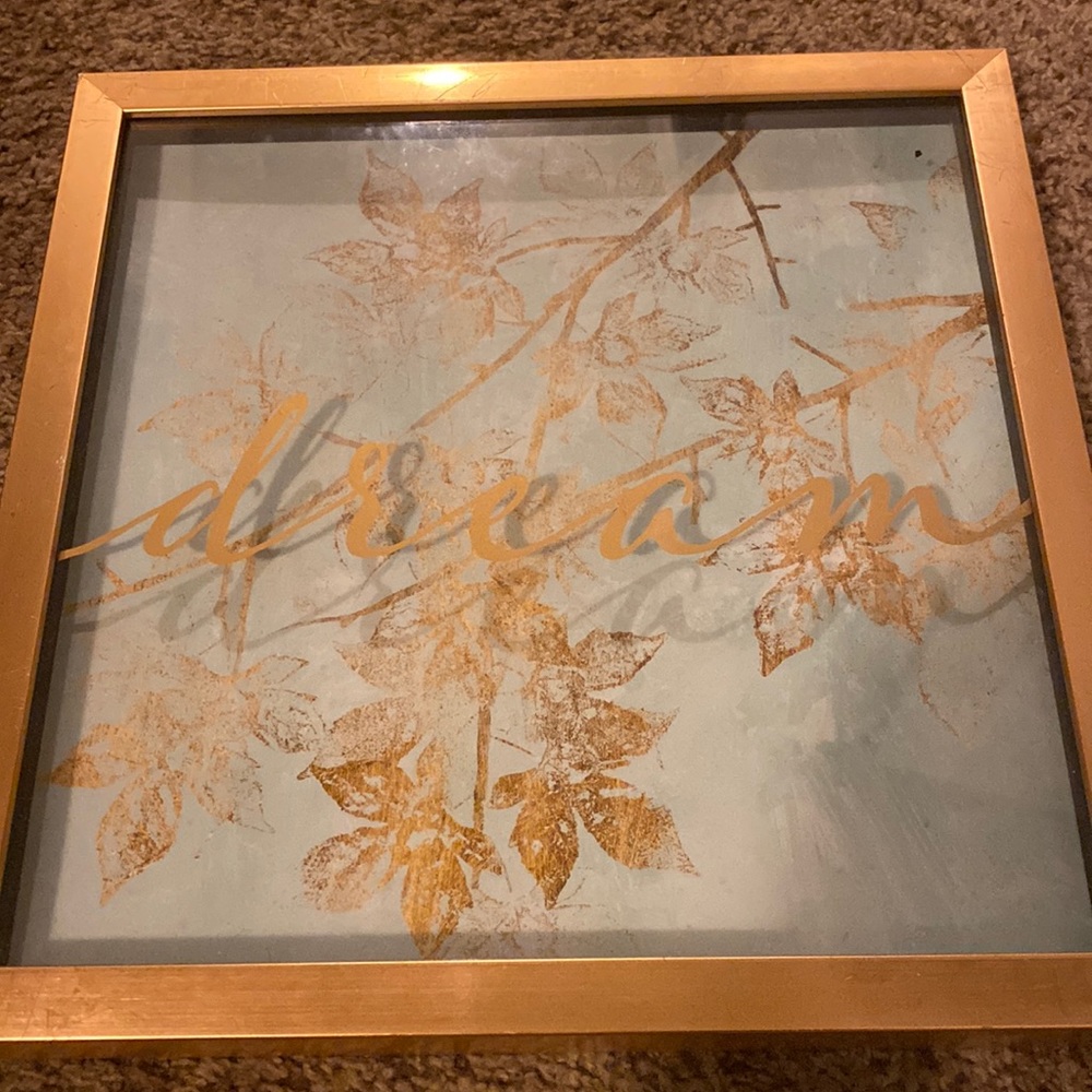 Picture frames like brand new .
